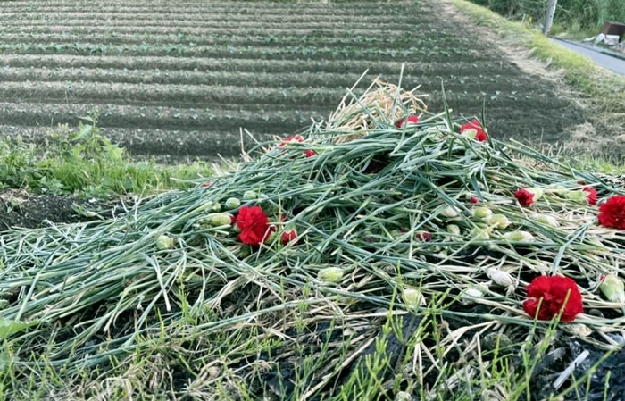 フラワーロス・ゼロを目指すお花の定期便 “FLOVER”（フラバー）お花のサブスクサイトより引用　