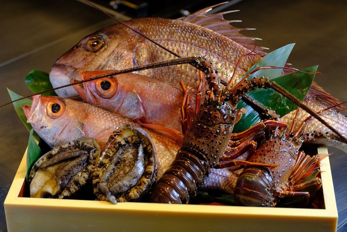 長崎・対馬近海の恵み