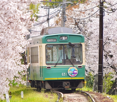 嵐電「江ノ電号」(モボ631形631号車)