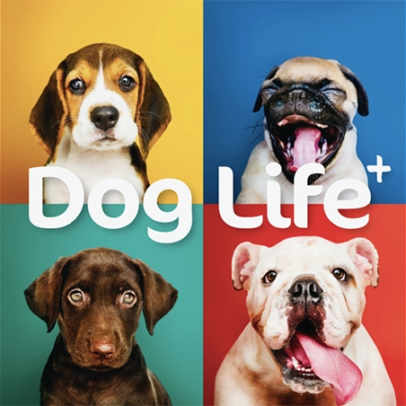 DOG LIFE+