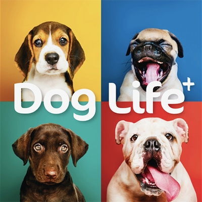 DOG LIFE+