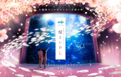 春の京都水族館に桜が舞う。いわしと桜の饗宴をデジタルを駆使して演出。