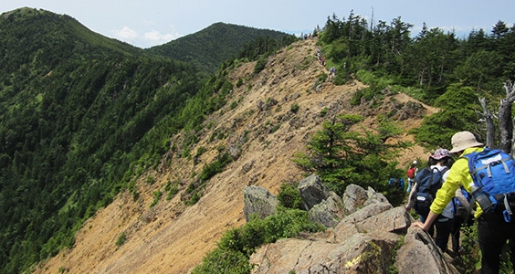 篭ノ登山