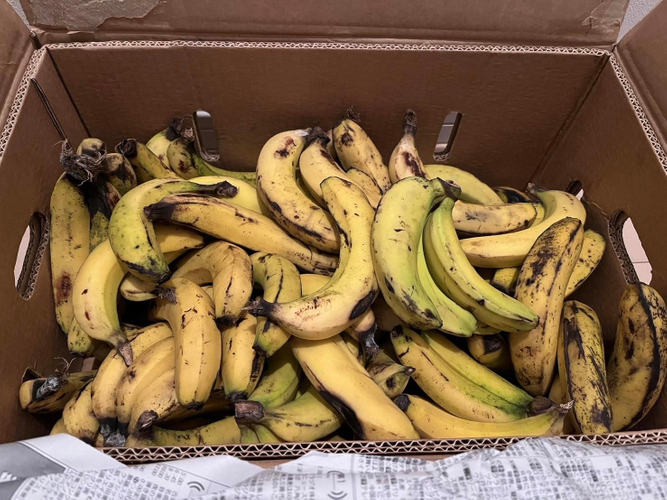 規格外のバナナ