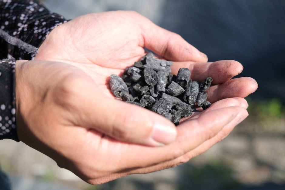 いちじくの枝のバイオ炭(木炭)