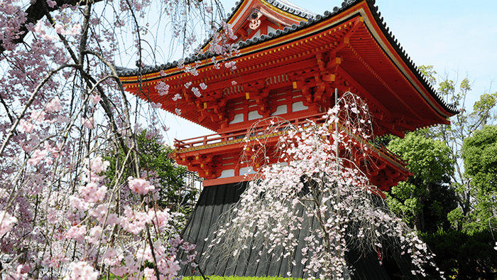 御室仁和寺