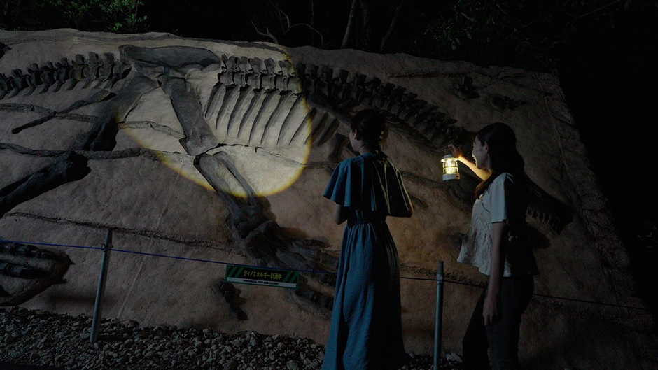 ナイトツアー/化石