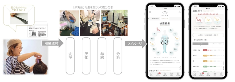 病は「毛」から。カットした髪の毛から不足栄養素を分析、 分析結果から適した食品などをリコメンドする新サービスを開始