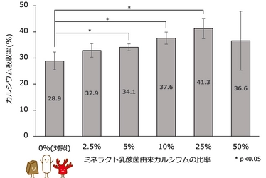 黒糖とサンゴカルシウムの植物性乳酸菌発酵物である ミネラクト乳酸菌でカルシウム吸収促進効果を確認