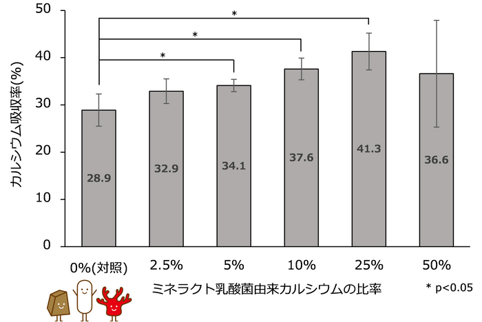 十二指腸におけるカルシウム吸収率