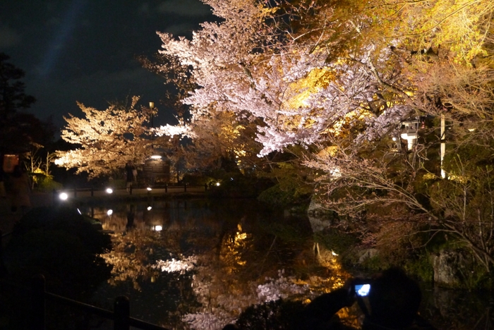 清水寺夜間特別拝観「清水寺」(2)