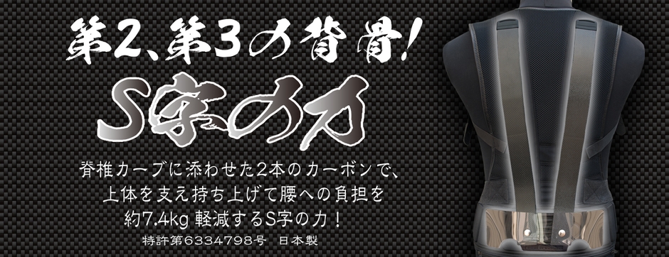 第2、第3の背骨　S字の力