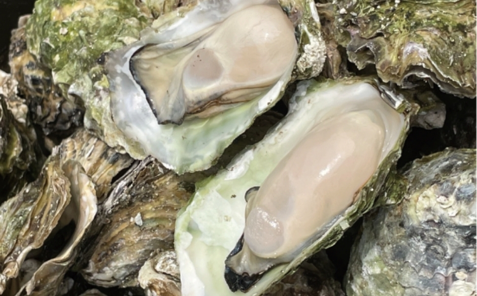 蒸し牡蠣