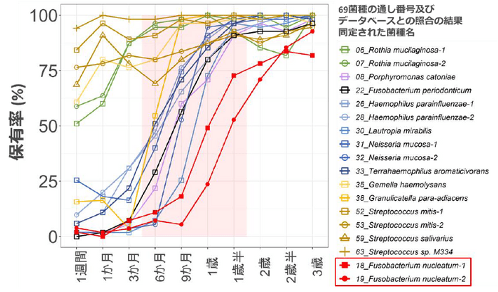 図2：各月齢における各細菌(※5)を保有する乳幼児の割合(％)