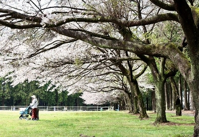 千本松テラス