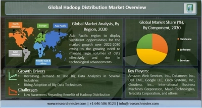 Hadoop流通市場 世界の事業成長、需要、動向、主要プレーヤー、2030年までの予測