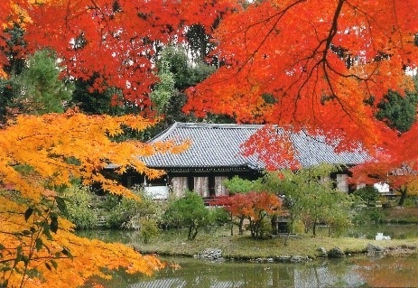 浄瑠璃寺