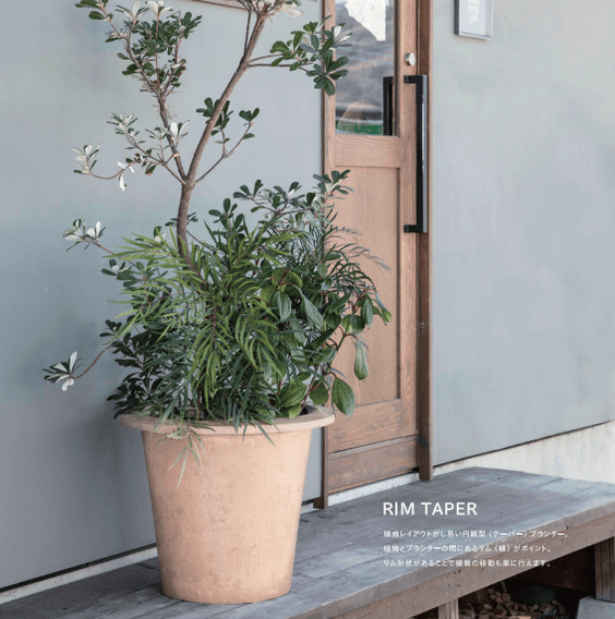 NUTRAL(ニュートラル) テーパー