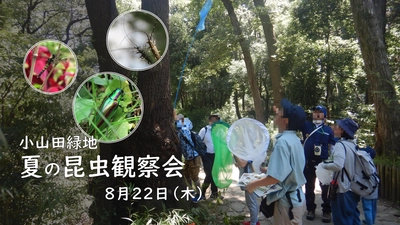 虫好き集まれ！小山田緑地で8月22日(木)「夏の昆虫観察会～昆虫観察入門～」開催します！