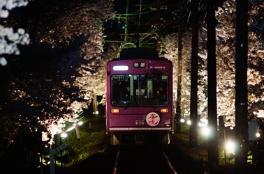 嵐電だけの桜 嵐電桜のトンネルライトアップ実施 ◆ 今年は、４月５日（金）から４月７日（日）まで実施。 「夜桜電車」も運行。 ◆　今回２０回目の開催。