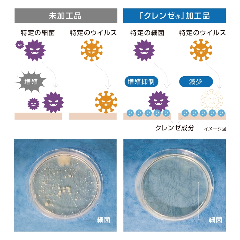 抗菌・抗ウイルスのヒミツ2