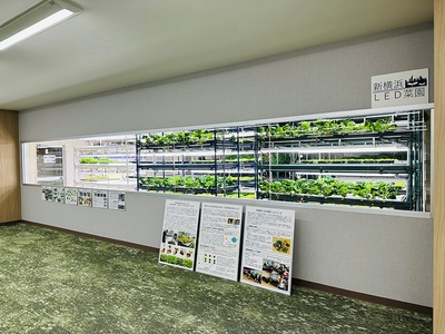 新横浜LED菜園