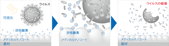 ウイルス不活化のメカニズム