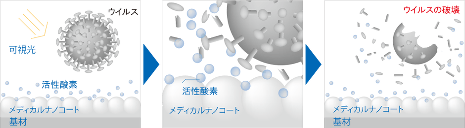 ウイルス不活化のメカニズム