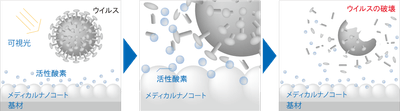 ウイルス不活化のメカニズム
