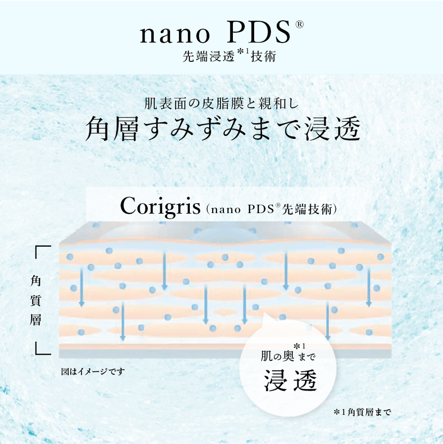 Corigris-コリグリ-(6)