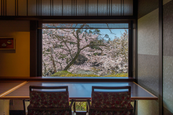 春には桜と海をお席から眺められます