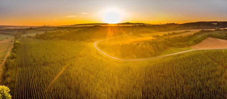 ジャテツ(写真:UPVISION)