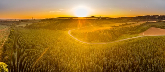 ジャテツ(写真:UPVISION)