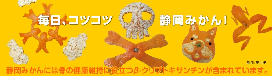 みかんの皮アート3