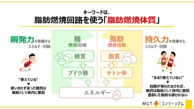 キーワードは、脂肪燃焼回路を使う「脂肪燃焼体質」