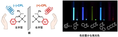 安価な有機ホウ素化合物を用いてマルチカラー円偏光発光を実現！