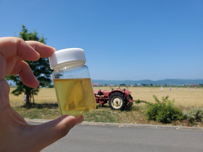 35度越えの猛暑だったが天気はよく、豊作となったしころの蜂蜜