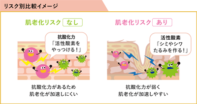 肌老化リスクのリスク別比較イメージ
