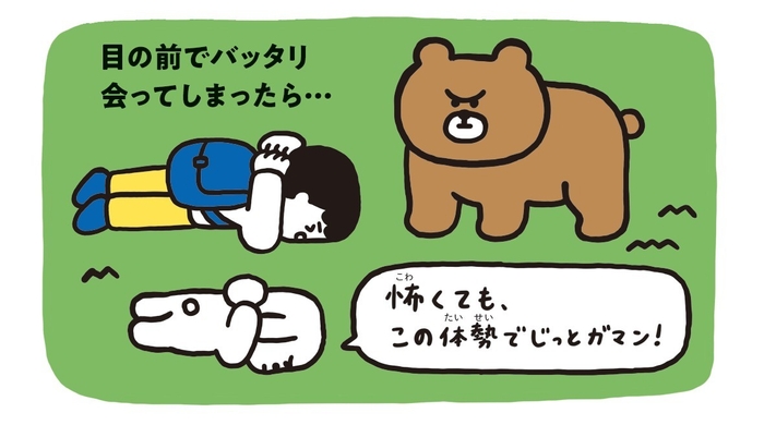 目の前でクマと出会ったら、首を守ってうつぶせに！