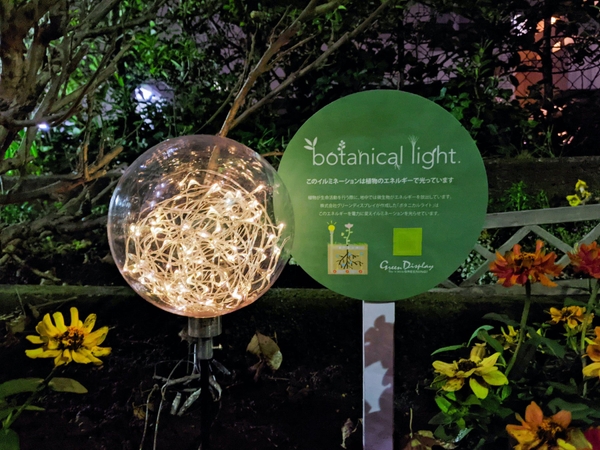 世田谷区烏山川緑道 (2022 年12月~)