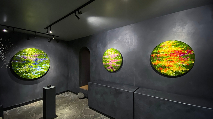 展示イメージ