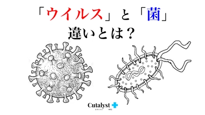 「ウイルス」と「菌」の違いとは？意外と知らない・答えられない「ウイルス」と「菌」の違いをご紹介します｜Cutalyst＋（カタリスト）