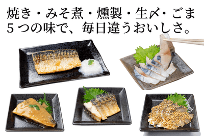 さばいろいろ