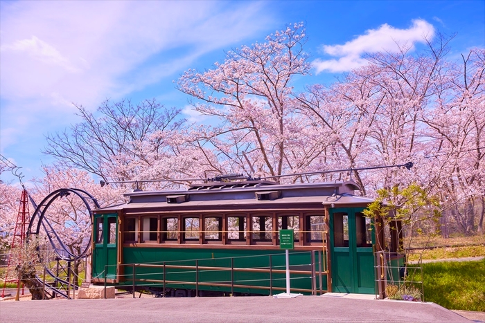 桜やバラ四季折々の景色が楽しめます