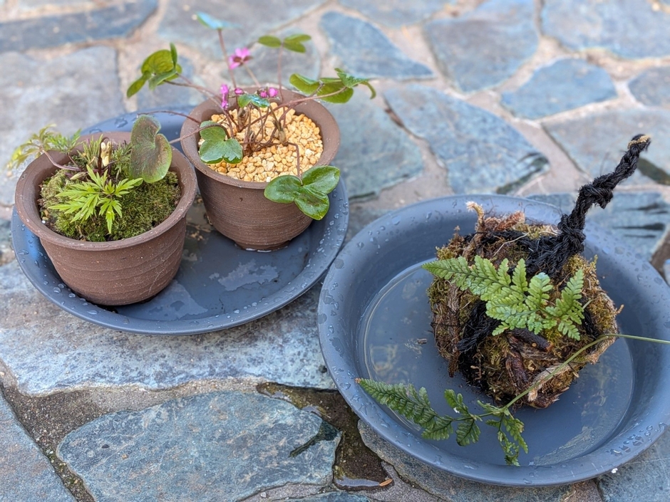 園芸教室の作品(イメージ)