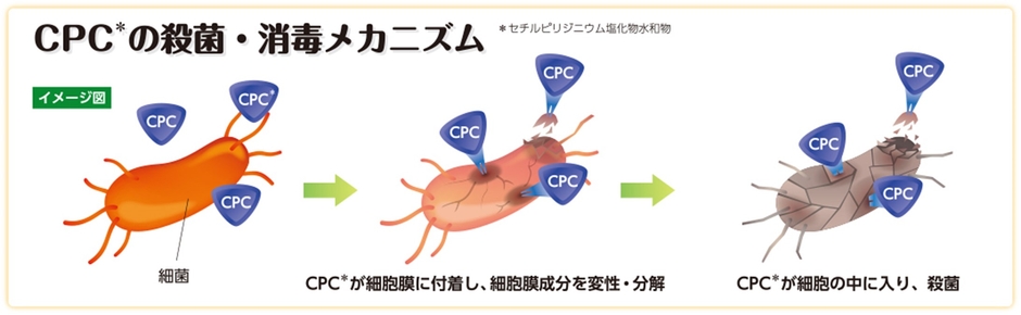 CPCの殺菌・消毒メカニズム