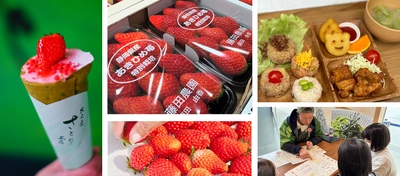 【道の駅そらっと牧之原】牧之原にいちごの最盛期到来！ “いちごフェア”を3/19より開催！ 地元いちご農園さんとコラボした限定クレープや 小学生考案の定食メニューが登場！