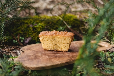 mozo ワンダーシティ「根羽の木のパウンドケーキ」 配布イベント開催 ― 食べることで、森とつながる mozo action ―