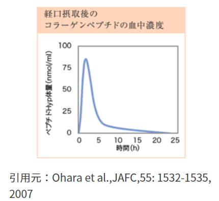 経口摂取後のコラーゲンペプチドの血中濃度