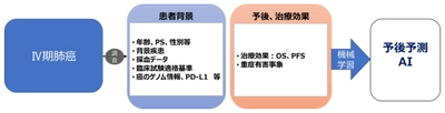 ステージ4肺がんの症例データから予後を予測するAIモデルを構築　患者の医療・ケアの方針を決定する際の重要な指標に